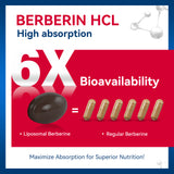 1500mg Liposomal Berberine Supplement with ceylon cinnamon & Gymnema